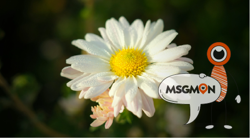 마사지샵 예약이 왜 필요할까요?