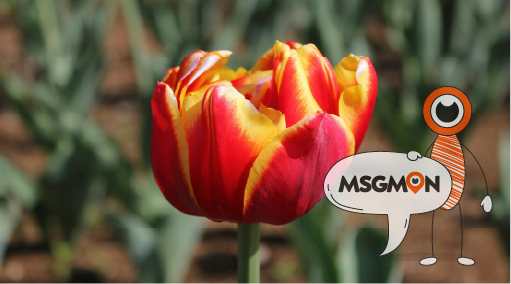 서혜부, 우리 몸에서 어떤 역할을 할까요?