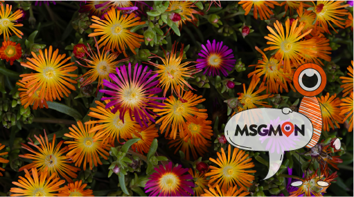 딥슈얼 마사지 뜻 5