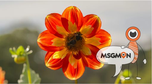 미리 예약하고 받는 관리의 장점