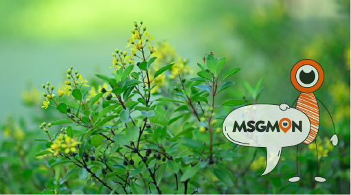 마사지 로드샵이란?