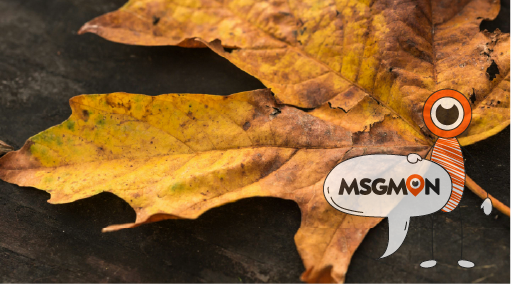 스웨디시 예약 시 꼭 알아둬야 할 주의사항