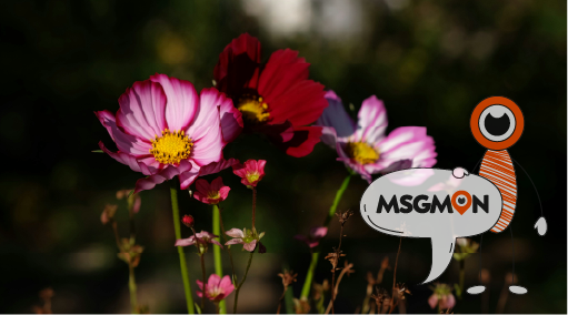 마사지 예약 필수! 힐링을 위한 최고의 방법