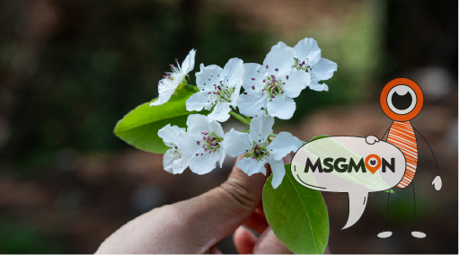 딥슈얼 마사지 뜻 2