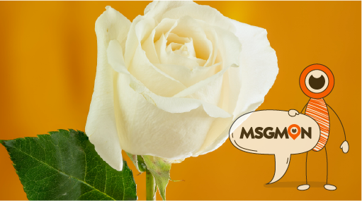 마사지 예약, 이렇게 간편해요!