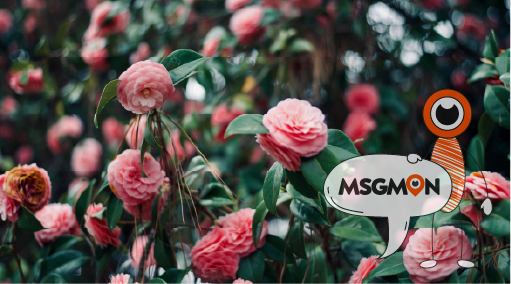 마사지 로드샵 매력 포인트