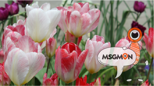 마사지몬과 함께하는 안전한 힐링