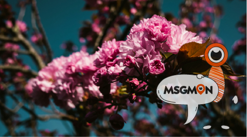 딥슈얼 마사지 뜻 4