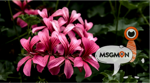 마사지몬과 함께하는 마사지 로드샵