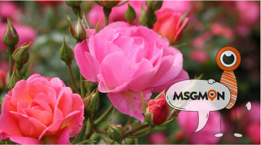 스웨디시 vs 슈얼 마사지 4