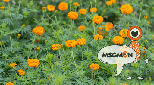 스웨디시 vs 슈얼 마사지 1