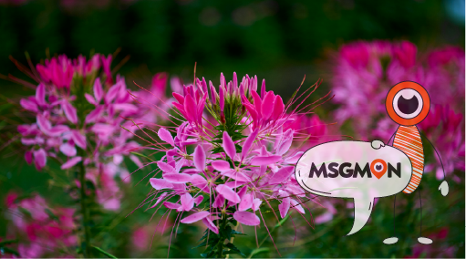 로드샵 ( 편리한 위치와 다양한 선택지 )