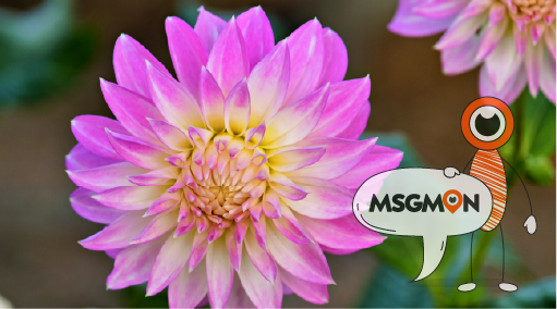 마사지와 수면실, 완벽한 휴식을 위한 조합