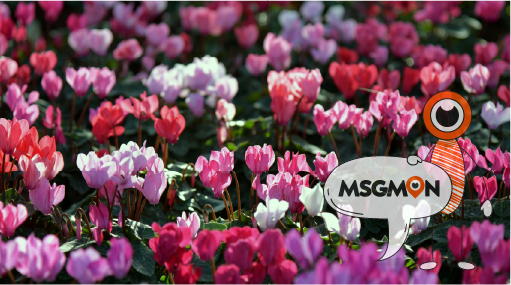 로미로미 슈, 당신에게 맞을까요?