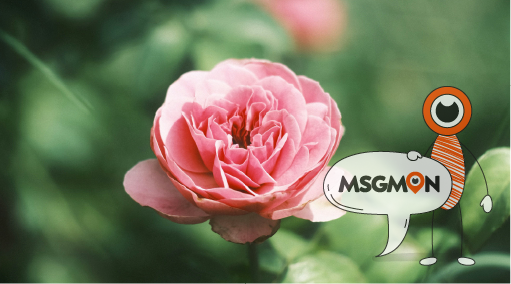 마사지 예약할 때 체크!