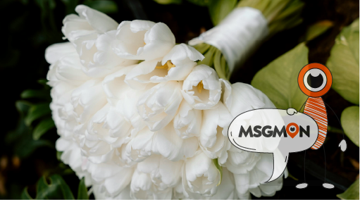 로미로미 코스, 이런 분들께 추천합니다