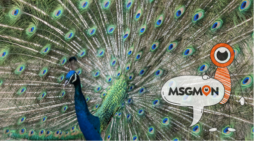 로미로미 코스는 어떻게 이루어지나요?