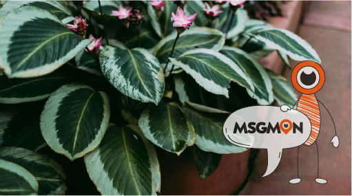 안마와 마사지의 방식