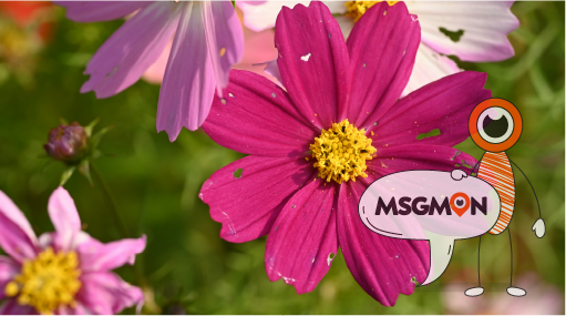 다인샵 ( 팀워크와 빠른 예약 시스템 )