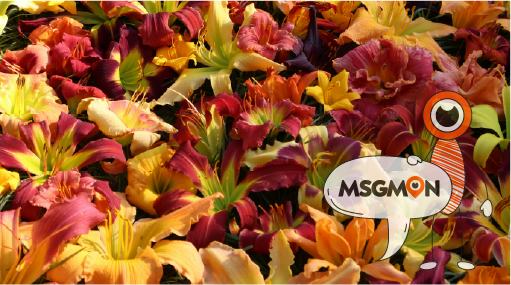 나에게 맞는 선택은?