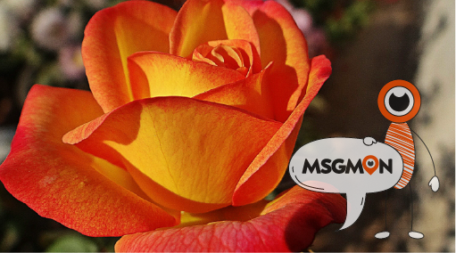 나에게 맞는 마사지 강도 찾기