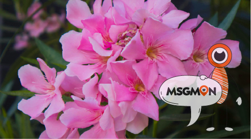 건전한 마사지샵을 선택하는 법