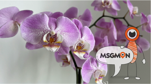 마사지몬이 함께합니다!