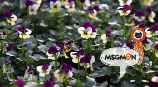 슈얼 마사지란?