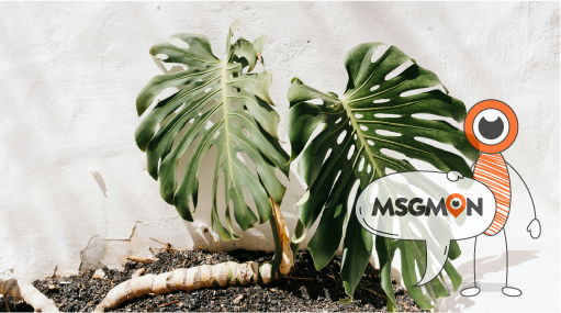 예약 없이 가능한 마사지 종류