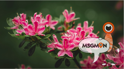 모든 사람에게 좋은 건 아니에요