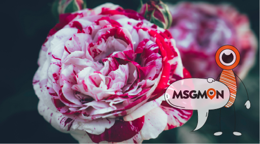 건전 마사지의 다양성