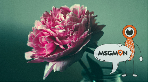 스웨디시 마사지 순서 얼굴, 목