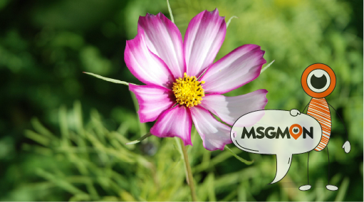 마사지 중 멍 예방 방법은?