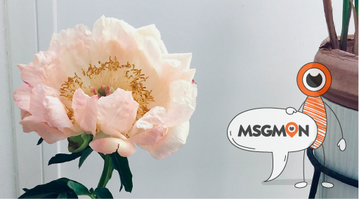 스웨디시 마사지 순서 어깨, 등