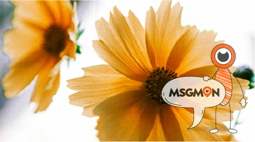 스웨디시 마사지 순서 배, 다리