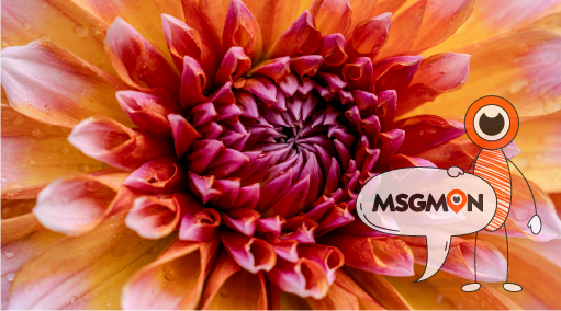 컨디션 체크는 필수!