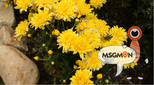 건전 마사지의 진짜 의미