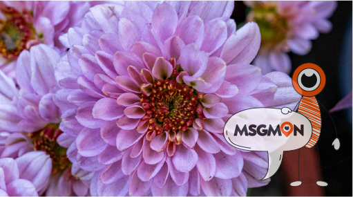 내게 맞는 마사지