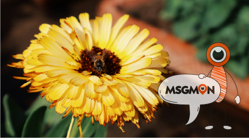 건전 마사지가 가져다 주는 효과