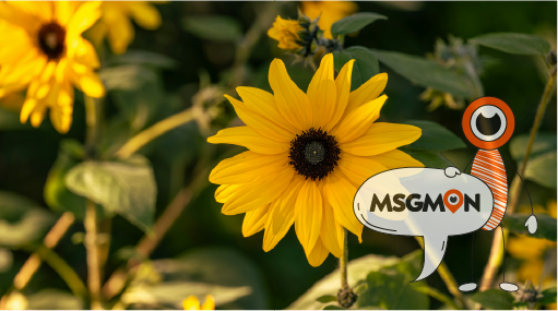 멍 생기면 어떻게 해야 할까요?