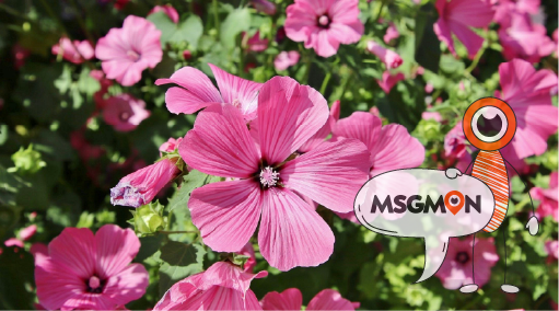 강한 마사지가 꼭 좋은 건 아니에요