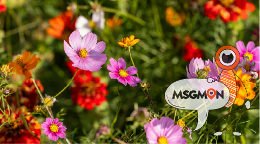 건식마사지, 습식마사지 차이