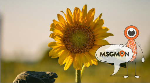 로드샵 단속, 어떻게 이루어질까?