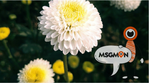 맞춤 테라피, 어떻게 진행될까요?