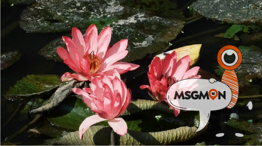 스마트하게 예약하는 꿀팁