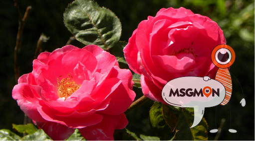 감성과 힐링의 조화