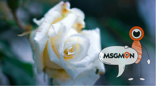 예약과 일정 관리