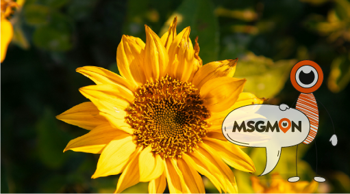 안전한 1인샵을 선택하는 팁