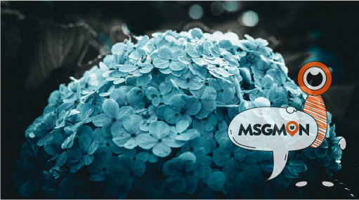 마사지몬 마사지사이트