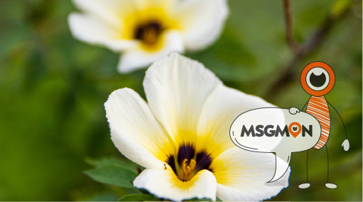 마사지 단속이 이루어지는 이유